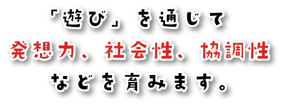 通じて発想力、社会性、協調性などを育みます。